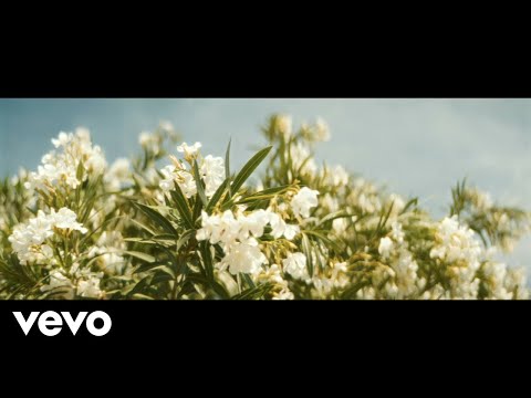 Video thumbnail for Show Me