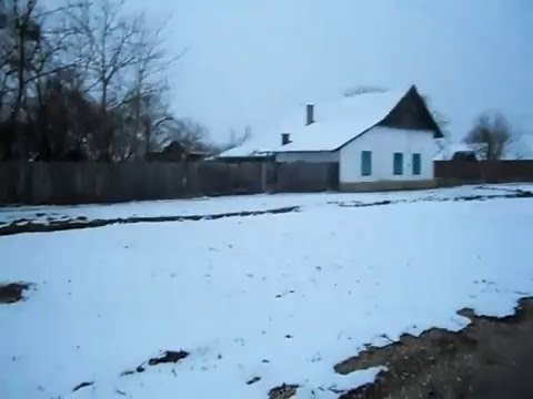 Nagybodofalva / Bodo 2011 / Winter - Iarna