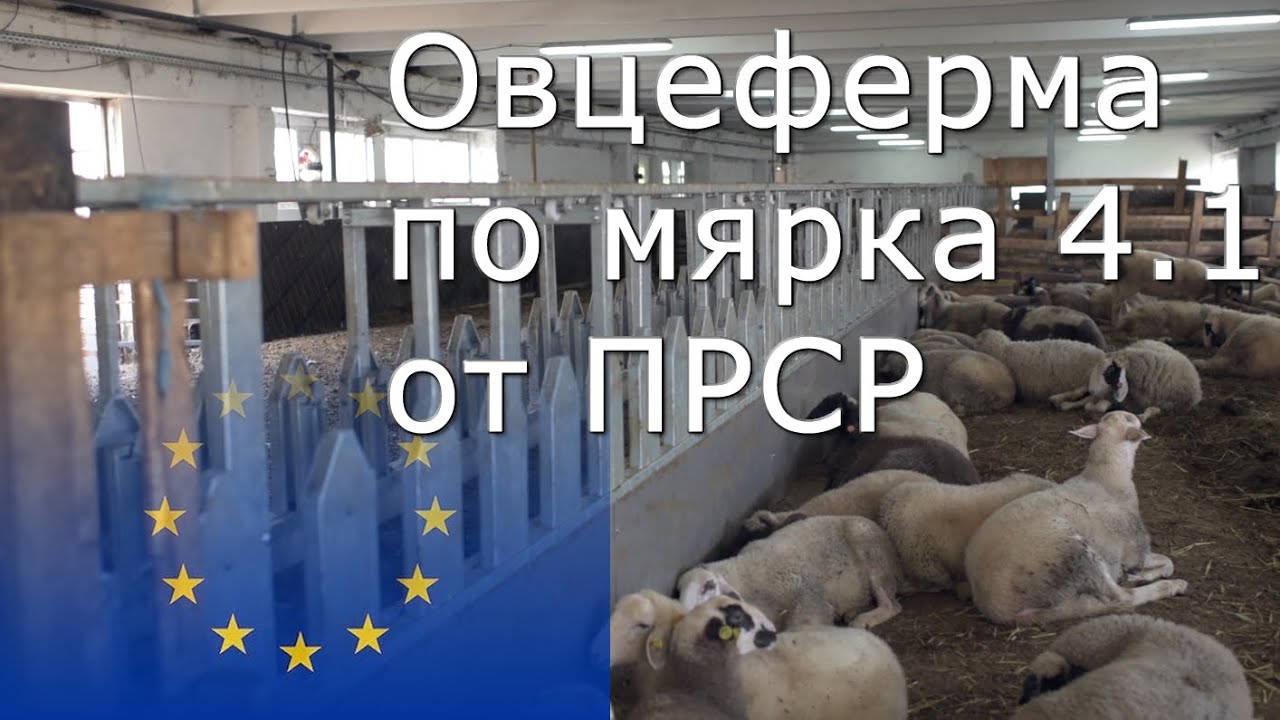 Овцеферма с доилна зала - мярка 4.1 и мярка 4.1.2 от ПРСР