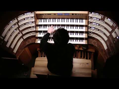 Max Reger: Choralfantasie "Wachet auf, ruft uns die Stimme" op. 52 - Daniel Beckmann, Mainzer Dom