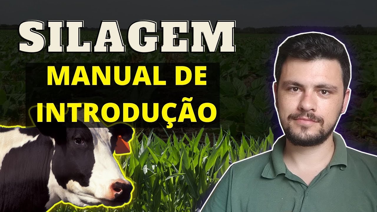 Silagem - Manual de introdução - Materiais e procedimentos