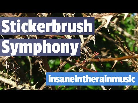 Stickerbrush Symphony - Donkey Kong Country 2 | Jazz Cover