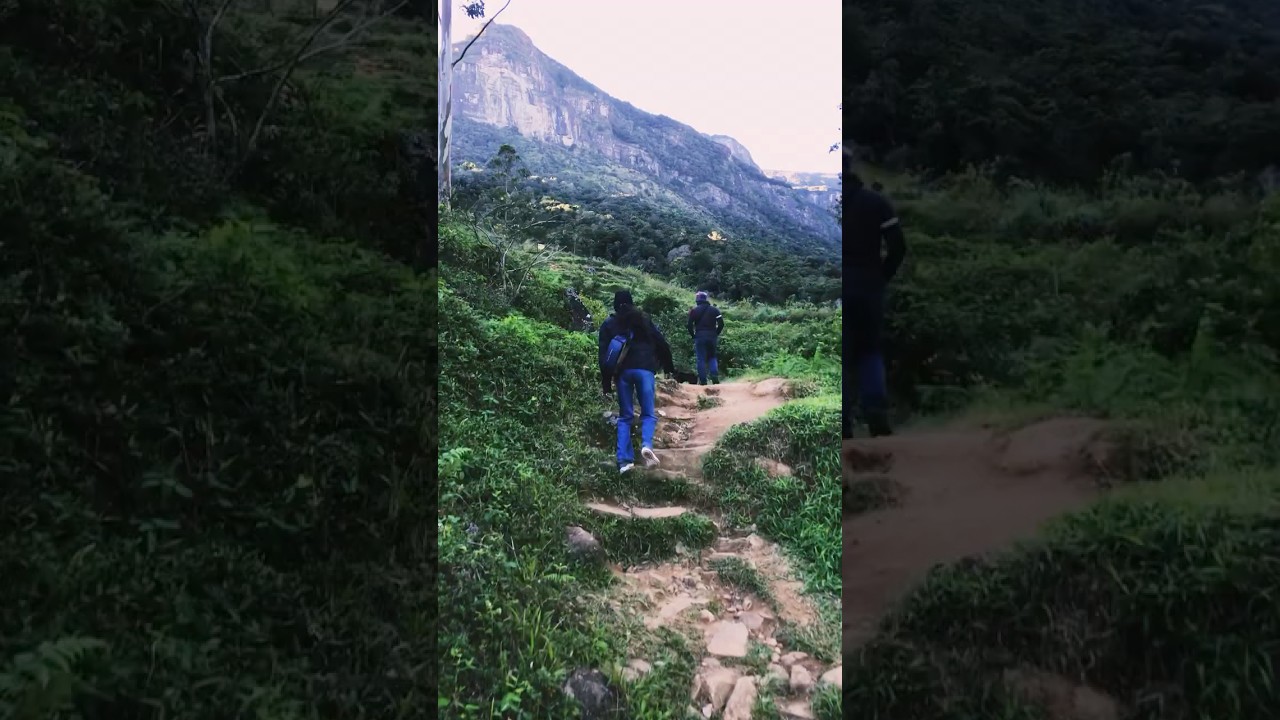 කොලපාට ලෝකයක් #mandaramnuwara #srilanka  #kolapathanawaterfall