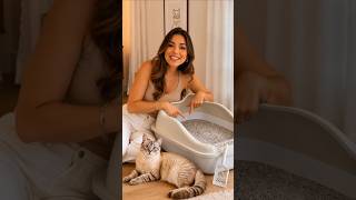 Caixa de Areia para Gatos  com Pá Higiênica Furba 🐈