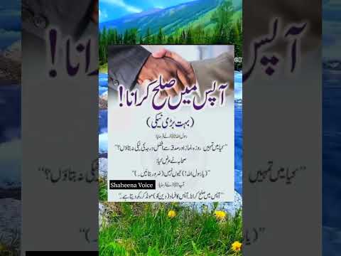 Islamic Quotes#shorts#shaheena voice#viral#ytshorts