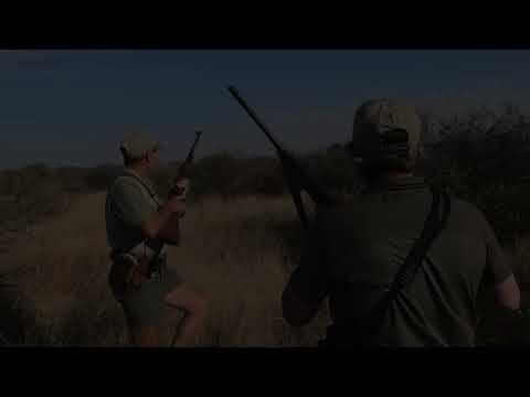 On The Buffalo Tracks With Dustin Reynolds