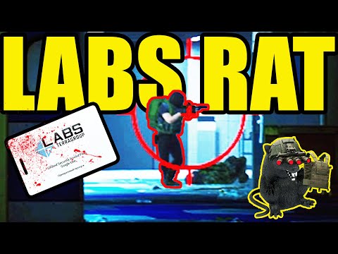 DEEP SEA FISHING *Labs*🐀 || Escape From Tarkov (Ratting/Extract Camping)