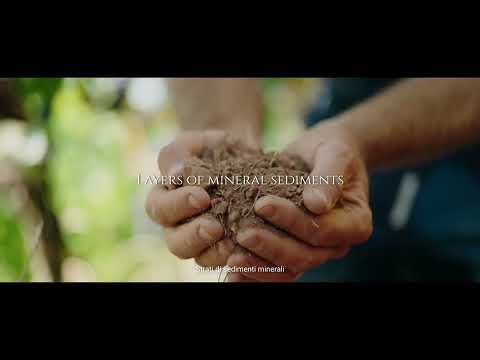 DE BURIS RADICI OFFICIAL VIDEO - Amarone 2011 e Valpolicella Superiore 2017