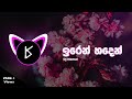 Iren Haden Dj Remix Dj Namal ඉරෙන් හදෙන් Visualizer By King Viz Tiktokviral
