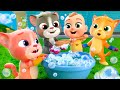 Lagu Tiga Kucing Kecil Lebih Lagu Anak Belajar Lalafun Bahasa Indonesia