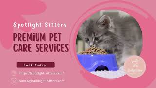 Spotlight Sitters LLC: Premium Pet Care Services