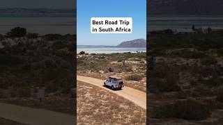 THE BEST SAFARI ROAD TRIP IN SOUTH AFRICA 🦁 #southafrica #safari #krugernationalpark