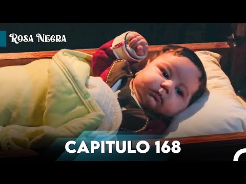 Rosa Negra Capítulo 168 | Doblado en Español