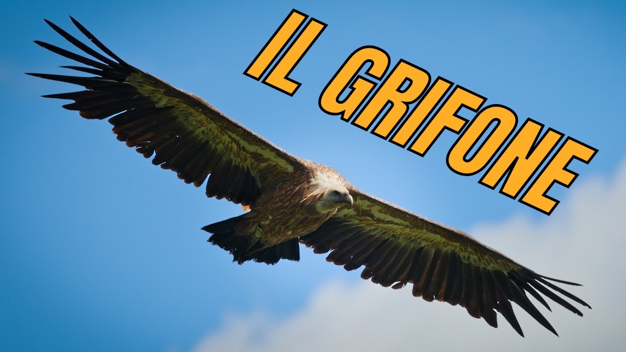 Assalto eolico alla Valle del Grifone, monta la protesta: “Uno scempio annunciato”.