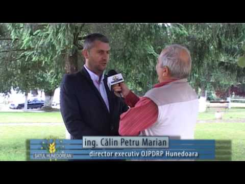 satul hunedorean 8 iunie 2014