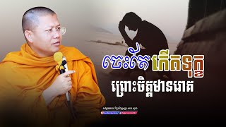 ចេះតែកើតទុក្ខព្រោះចិត្តមានរោគ​,សាន សុជា | san sochea 「Moa Me Education​