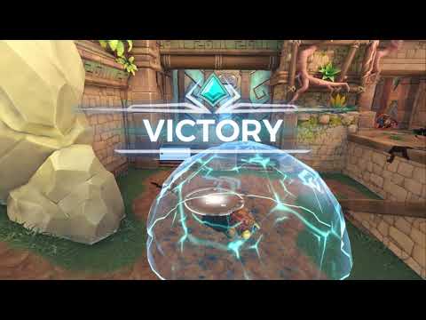 Paladins WTF moments