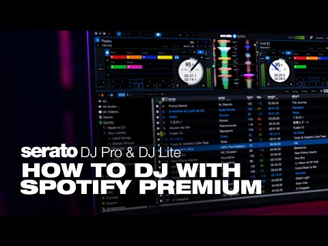 DJ with Spotify Premium in Serato DJ Pro & Lite