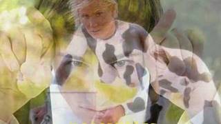 Bois Don&#39;t Cry - Mamonas Assassinas