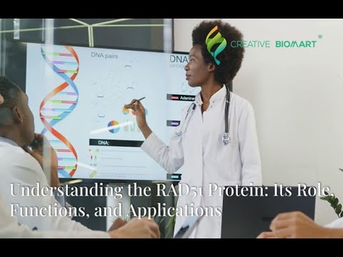 Understanding the RAD51 Protein: Its Role, Functions, and Applications