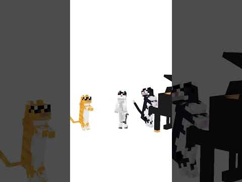Insane Cat Memes in Minecraft Animation