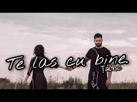 Țache - Te las cu bine ( Hei straino)