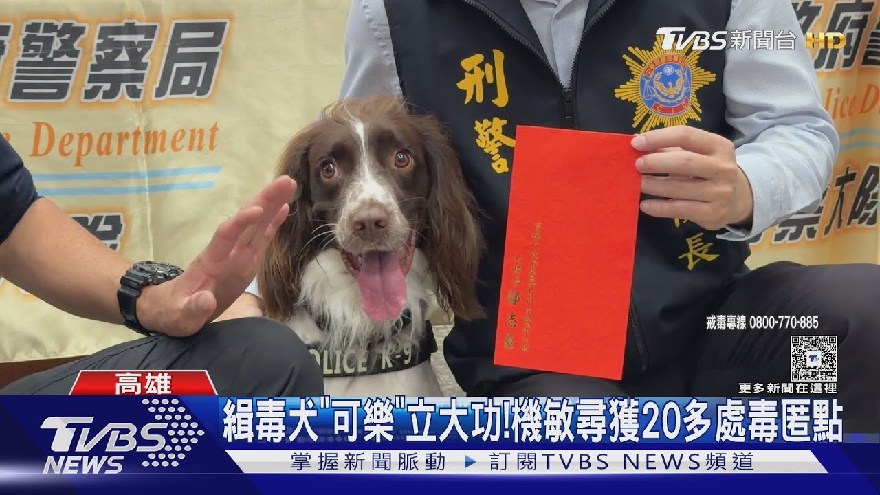 汪汪隊立大功! 毒販「毒藏土內」 牠嗅出加碼幫挖土