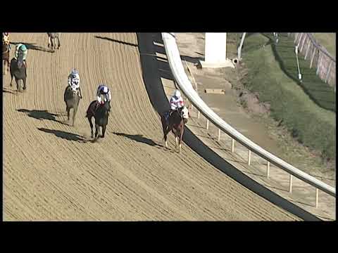 Laurel Park 1 10 2019 Race 3