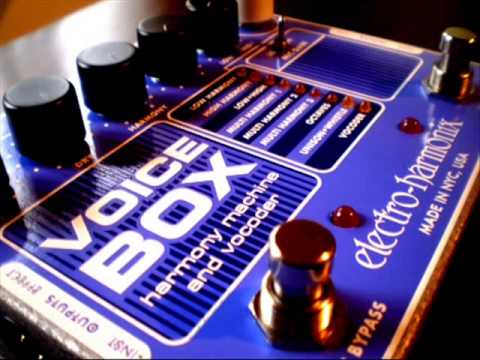 FUNK - yvonne gage - virginity