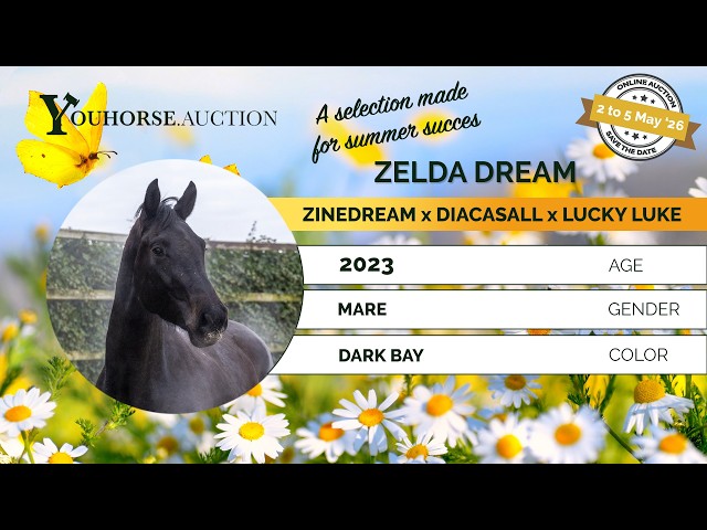 Zelda Dream