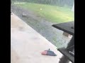 Storm Blows Away Trampoline In Port St Lucie