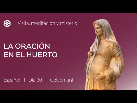 Día 20: Parte 1 | La oración en el huerto de Getsemaní | Peregrinación y retiro virtual | Magdala