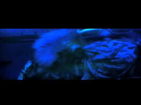 Tru G ft Eazy - FlyGoonsCreep Official PromoVideo BY (KingCoze BaasMusic)