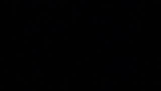 備北交通　庄原駅→広島駅　車内放送