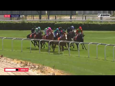 01/06 TOULOUSE: Prix de l'hippodrome de Toulouse