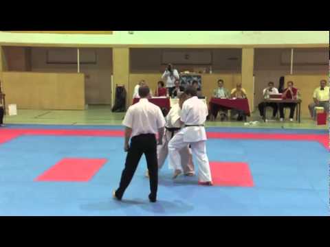 Komanov vs. Butenko - VIENNA OPEN - Erstes offenes internationales Kyokushin-Kan Karate Turnier