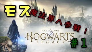 モス、ホグワーツへ参戦