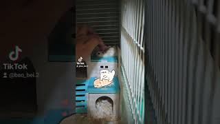 Download lagu Baobei likes back massage.(🎼cr:Relaxing Japanese-style piano song inviting nostalgia- Akiko Akiyama) mp3