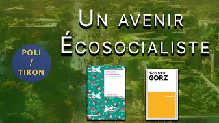 Ecosocialism, a necessary and possible path?