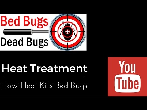 Bed Bugs Dead Bugs - Toronto, ON M1L 3Y1 - (416)824-6009 | ShowMeLocal.com