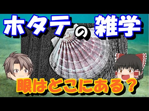 リダイレクトアイコン