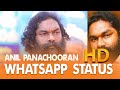 ANIL PANACHOORAN WhatsApp Status ANIL PANACHOORAN Rip