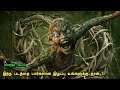 Munjya 2024 Super Hit Horror Thriller Block Buster Movie Tamil Full Movie Bj Tamil Movie