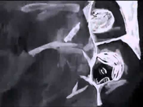 Sky Parade - Lonely Alibis