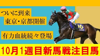 【10月1週目新馬戦】10月7日・8日・9日の新馬戦注目馬を紹介！！東京・京都開催で素質馬が集合！！