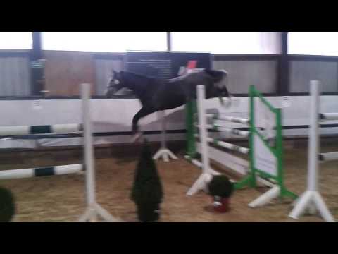 Capistrana BS von Capistrano (Cornet Obolensky x Pilot)