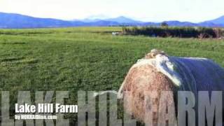 preview picture of video 'Lake Hill Farm'