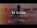 Ya Rabbe Slowed And Reverbed Kadina Kadoramee Andakadaham