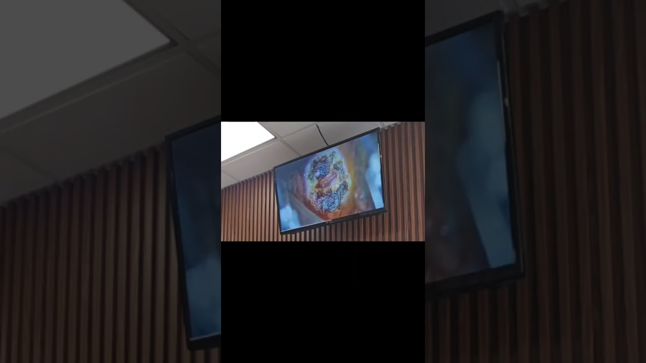 Erika Karina Fuentes Gutiérrez-26