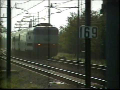 E444  Tartarughe in Romagna - 20